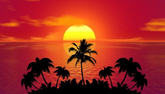 www.lunytours.com