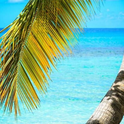 Bayahibe