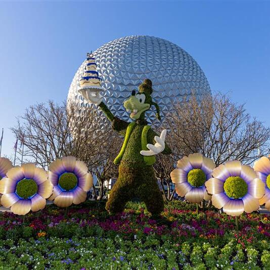 Orlando