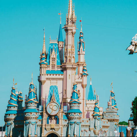 Walt Disney World